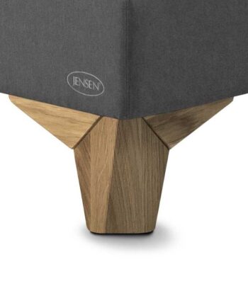 Jensen  Eicon Sengeben