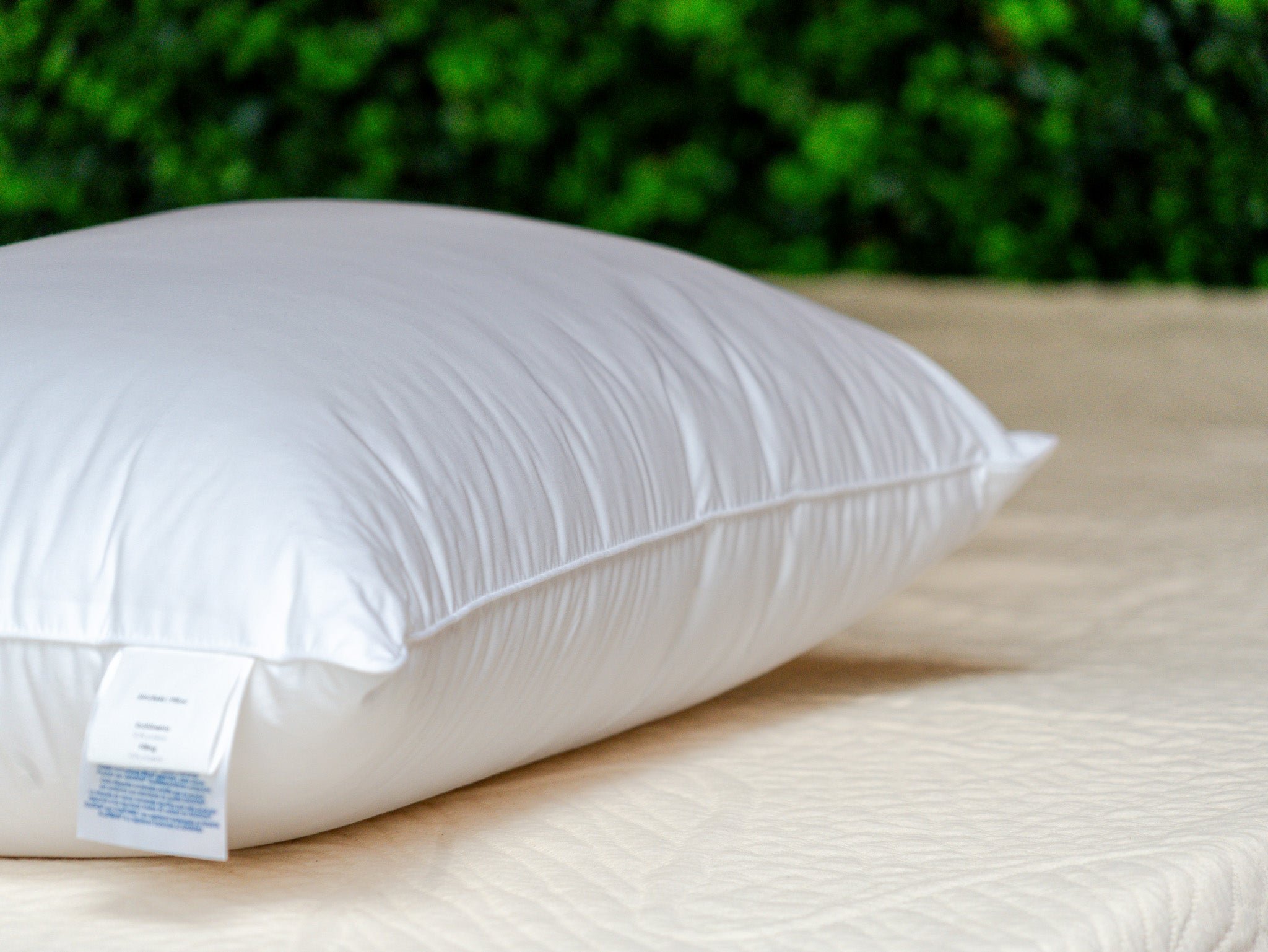 Pude Skum   Allerban 60x45